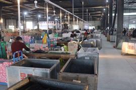 Verified China supplier - Guangdong Yuxing Industry Co., Ltd.