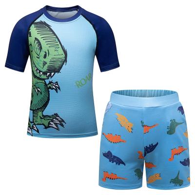 China Custom Handsome Unique Print Casual Waterproof Plus Size Dinosaur Pattern Swimsuit Boy Beach Suit for sale