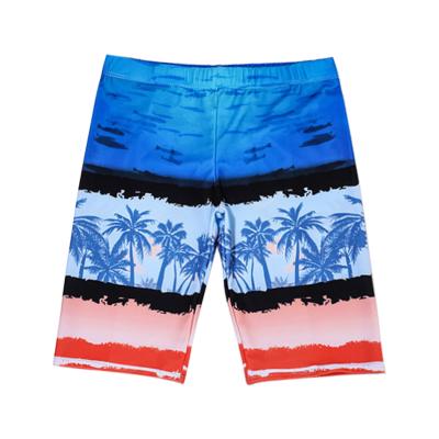 China Wholesale Plus Size Fashion Custom Made Men Printed Quick Dry Breathable Beach Shorts Swim Shorts for sale