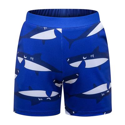 China Waterproof Breathable Summer Basketball Cool Boys Shorts Elastic Waist Pockets Kids Beach Shorts for sale