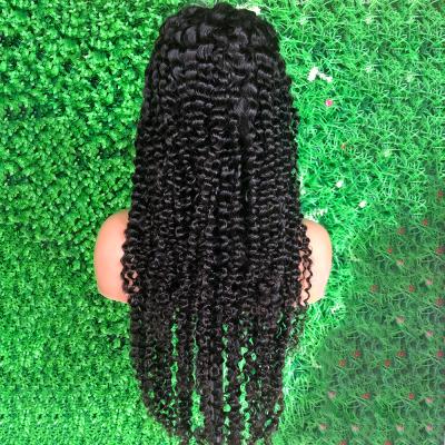 China 100% Full Lace Wig, Glueless Brazilian Full Lace Human Hair Silky Straight Curly Wave Unprocessed Human Hair Lace Wig, Lace Front Wig For Black Women for sale