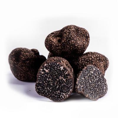 China Wholesale Fresh Truffle Healthy Mushroom Black Truffle For Sale for sale