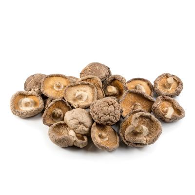 China Quality Appropriate Price Factory Guaranteed Dried Magic Mushrooms Dried for sale