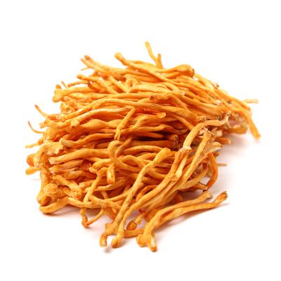 China Fresh cordyceps militaris spread cordyceps flower for sale