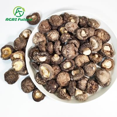 China Wholesale dried white flower dried mushroom/dried shiitake mushroom /hot sale dried mushroom for sale