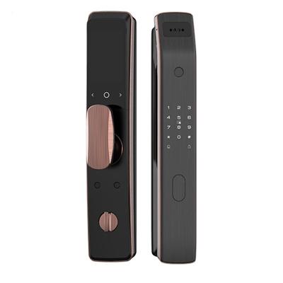 China Office Hotel Apartment Home Smart Built-in camera WIFI Fingerprint Card digital password new Full- automatic door lock for stainless Steel door for sale