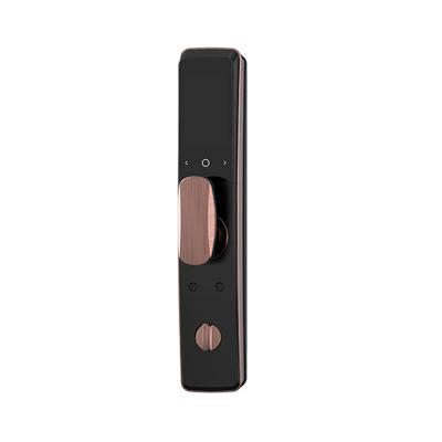 China Office Hotel Apartment Home good quality 3D Face Recognition Digital Door Lock Enhancing Lifestyle Build in Door Viewer 6 unlocking for home for sale