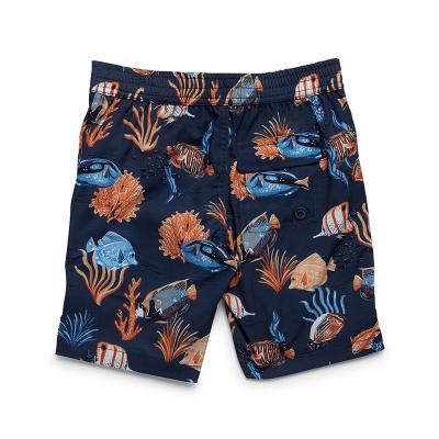 China Summer Men's Plus Size Joyord Swimming Trunks Comfortable Quick Dry Swim Shorts With Mesh Lining Print Beach Shorts for sale