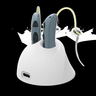 China Clear Sound Receiver In The Canal Hearing Aid Prices Affordable Rechargeable Lithium Battery for sale