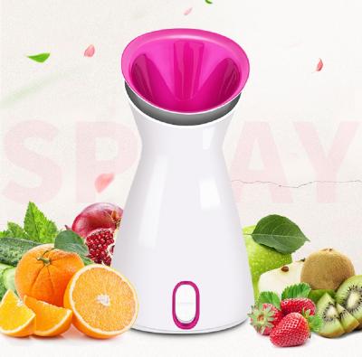 China Brightening Deeply Moisturizing Skin Care Beauty Products Facial Electric Facial Steamer Nano Mist for sale