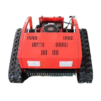 China Canpro High Efficiency Cordless Gasoline Lawn Mower Robot Lawn Mower Riding Tractoer 2021 for sale