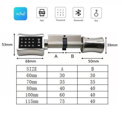 China Zn Alloy Smart Electronic Lock Cylinder Card Password Key Mortise Smart Door Locks Cylinder With ttlock Hotel Management System for sale