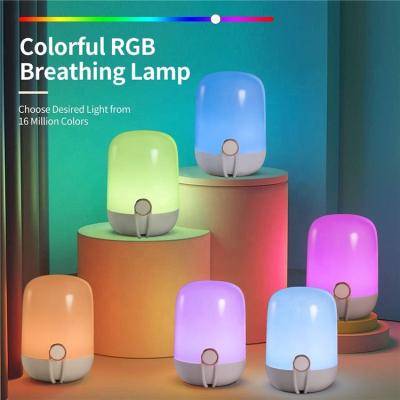 China 2021 New Arrival Portable Rechargeable Night Lights RGB Color Changing Portable Led Night Light For Kids for sale