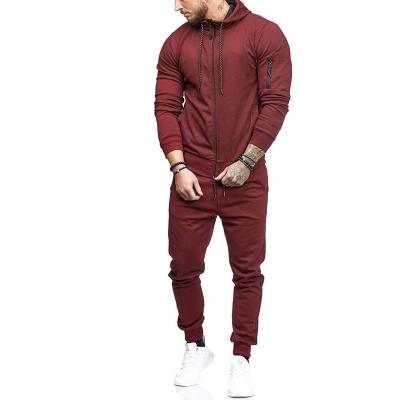 China Anti-Wrinkle 2021 Slim Sweater Fitness Zipper Cardigan Anti-Wrinkle Solid Color Men Hoodie Streetwear Sports Jogging Suit for sale