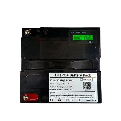 China Consumer Electronics Battery Pack 12V 30ah New Lead Acid LiFePO4 Replacement With BMS 12V 20Ah Lithium Batteries Case for sale