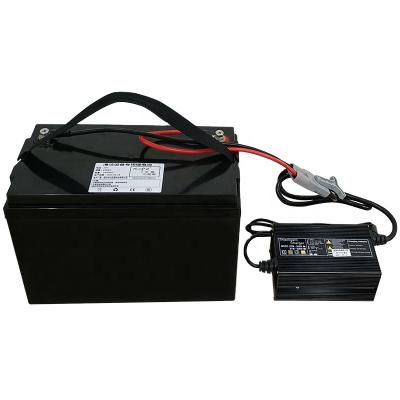 China 24V 100AH ​​Lead Acid Replacement Lead Acid Lithium Battery For Electronic Appliance Toys OEM Tools Power for sale