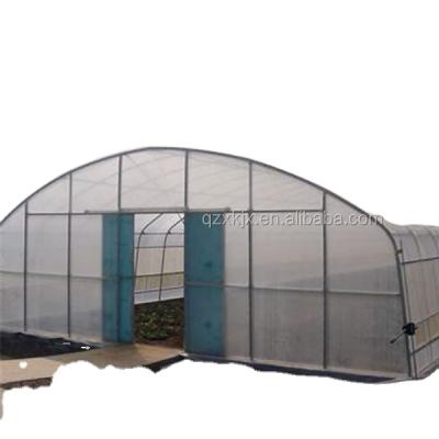 China PE Agricultur Greenhouse Tunnel Greenhouse Film Greenhouse For Growing Vegetables for sale