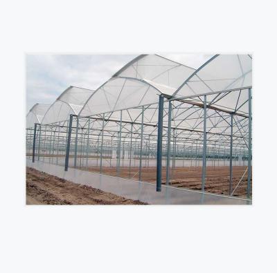 China Grow Vegetables Multi-span China Greenhouse Polytunnel Greenhouse Film Flowers Greenhouse Agricultural Greenhouse Sale for sale