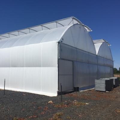 China Stable Structure Easily Assembled Multi-span Film GreenhouseWide Span Plastic Film Greenhouse for sale