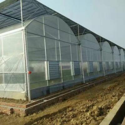 China Stable Structure Easily Assembled Multi-span Film GreenhouseWide Span Plastic Film Greenhouse for sale