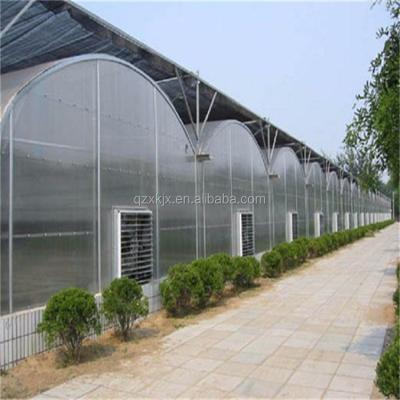 China Stable Structure Easily Assembled Agricultural Greenhouses Multi-span Film Greenhouse For Growing Equipment And Greenhouse Kit for sale