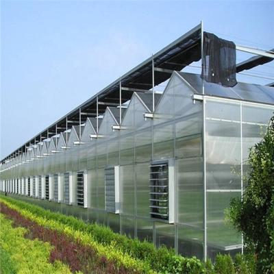 China Stable Structure Easily Assembled Agricultural Greenhouse Suppliers Product Chinese Polycarbonate Greenhouse Greenhouse for sale