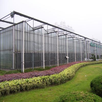 China Fruit Flowers Multi-span Vegetable Greenhouses For Greenhouse Polycarbonate Sheet Polycarbonate Hothouse Hot Sale for sale