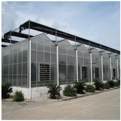 China Vegetable Fruit Flower Multi-span Greenhouses Tomato With Polycarbonate Greenhouse Agricultural Greenhouse Hot Sale for sale