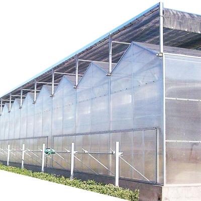 China Stable Structure Easily Assembled Low Price Multi-span Greenhouses Greenhouse Polycarbonate Agricultural Greenhouse For Sale for sale