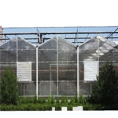 China Vegetable Fruit Flowers Polycarbonate Greenhouse Multi Span Greenhouse Structure for sale