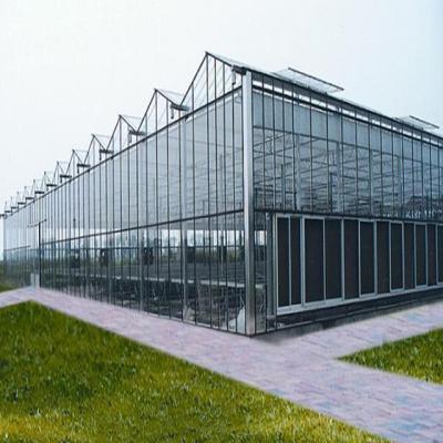 China Stable Structure Easily Assembled Greenhouse Factory Product Glass Greenhouse For Hydroponics Greenhouse for sale