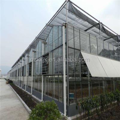 China New xianke plant growth greenhouse greenhouse green house glass agricultural greenhouse for sale for sale