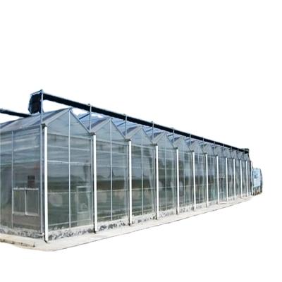 China Stable Structure Easily Assembled Greenhouse Agricultural Glass Greenhouse Greenhouse Hot Sale for sale