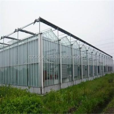 China Multi-span Flowers Fruits Hot Sale Greenhouse Vegetable High Quality Glass Greenhouse Agriculture Greenhouse for sale