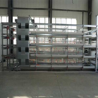 China Save Space The Poultry Equipment Chicken Poultry Equipment Chicken For Broiler Chicken Farm for sale