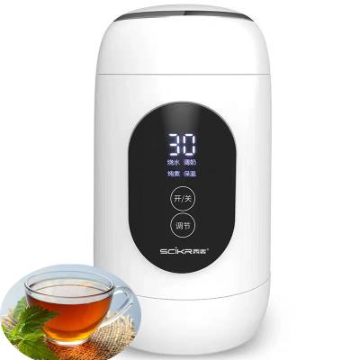 China Keep Warm Household Appliances Tea Maker Machine, Water Heater for sale