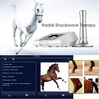 China Equine Sensation Comfortable Equine Shockwave Veterinary Therapy For Horse for sale