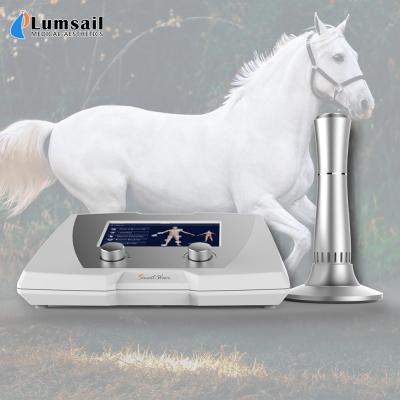 China Equine Veterinary Horses Shockwave Therapy Equipment For Soft Tendon Injury Issue for sale