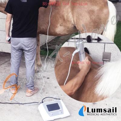 China Horses Shockwave Therapy Machine For Horses Shockwave For Horse for sale