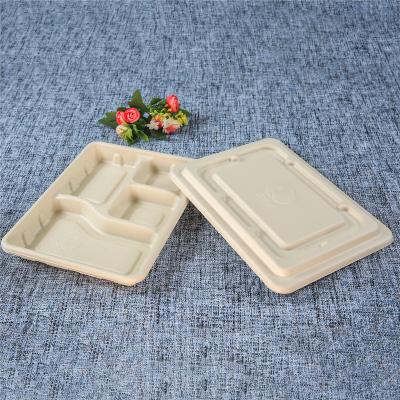 China Customizable Greaseproof Microwavable Biodegradable Food Tray Disposable 4 Compartment Sugar Cane Bagasse Tableware for sale