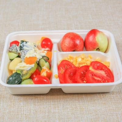 China 3 Compartment Biodegradable Customizable Greaseproof Microwavable Eco Bagasse Made Biodegradable Food Disposable Paper Trays for sale