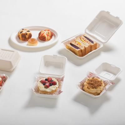 China Oil-resistant& Manufacturer Water Resistant Disposable Biodegradable Sugarcane Bagasse Pulp Takeout Food Container 6