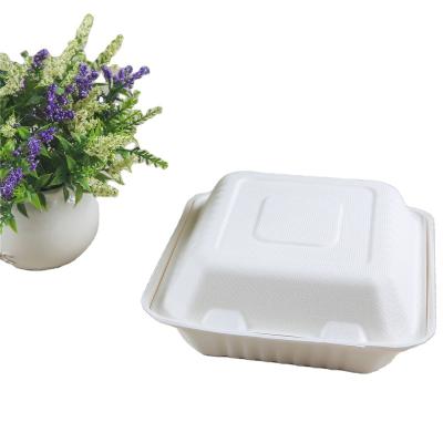 China Oil-resistant& 8 Inch Water Resistant Compostable Hinged Food Container For Oil Proof Paper Food Takeout Packaging Box for sale