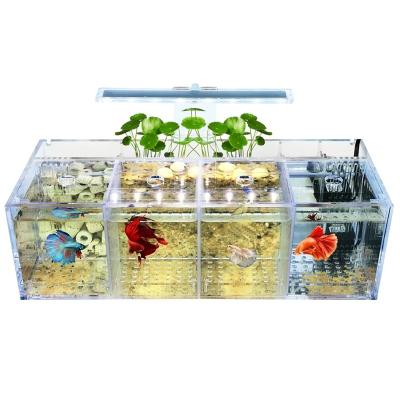 China Small Creative Stocked Isolation 220V Betta Farm Air Pump Aquarium Fish Tank for sale