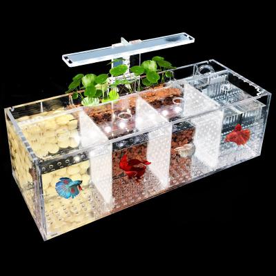 China Desktop Stocked Decoration Breeding Acrylic Isolation Aquarium Small Fish Tank for sale