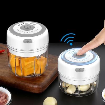 China Dropshipping China 100/250mL Mini USB Radio Garlic Crusher Stocked Filling Vegetable Electric Cleaver for sale