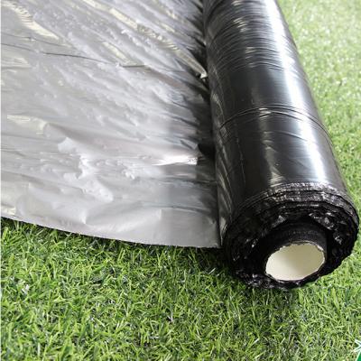 China Silver Black 25um/30um/35um UV Mulch Plastic Film for Agriculture for sale