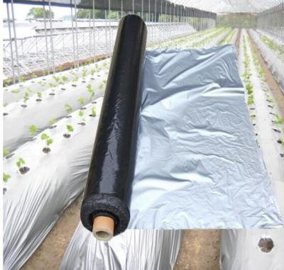 China Width 20-2300mm Apple Tree Flective Agriculture Metalized CPP Film for sale