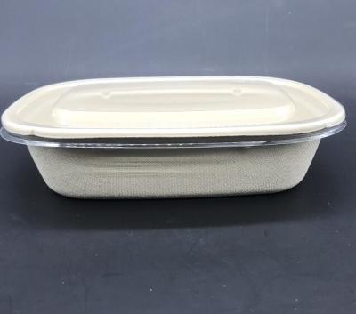 China Sald Bio Rectangle U Shape Sugarcane Tableware Food Container With Transparent Lid for sale