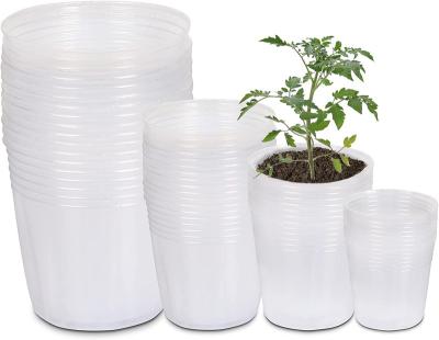 China Modern Clear Nursery Pots 40 Packs 3/4/5/6 Inch Plant Pots With Drain Hole Seedling Transparent Plastic Gardening Pots for sale